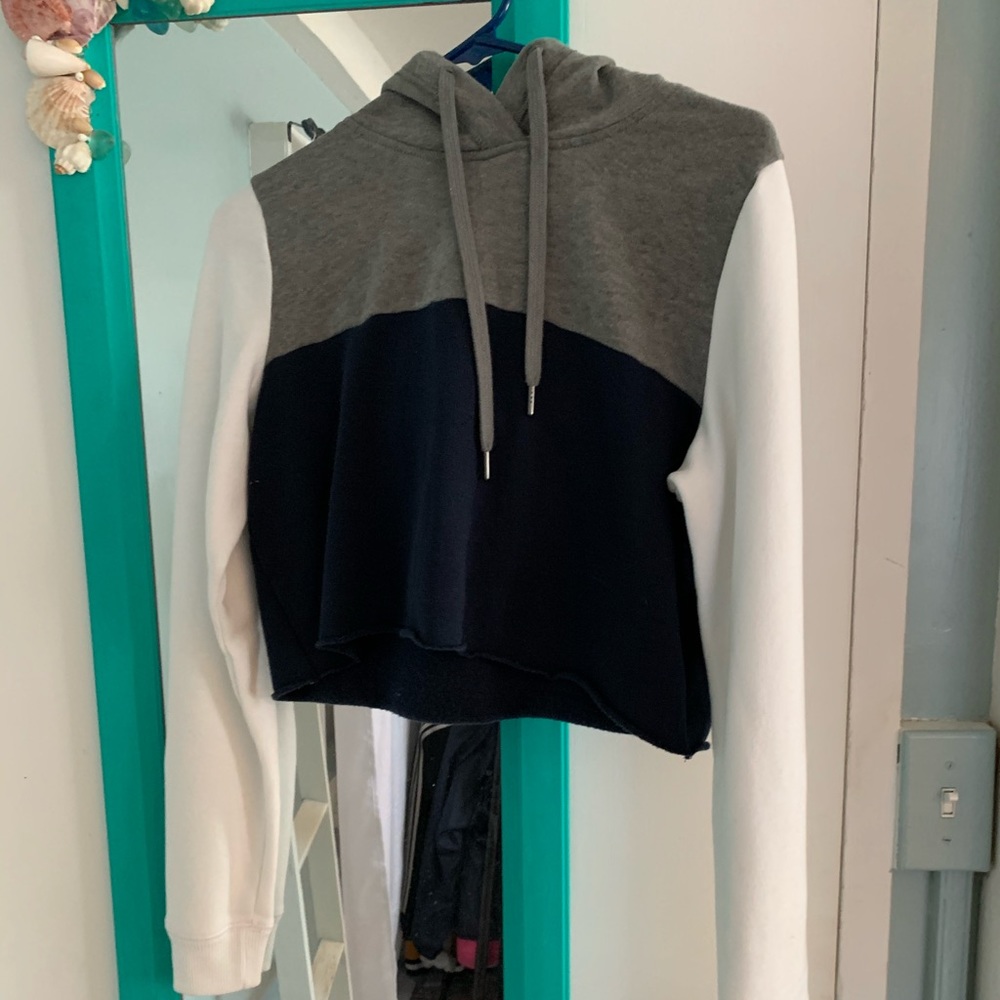 American Eagle Cropped Hoodie